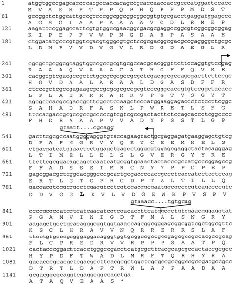 Semidwarf Sd 1 “green Revolution” Rice Contains A Defective Gibberellin 20 Oxidase Gene Pnas