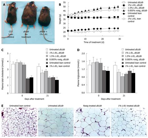 Pluronic L 81 Ameliorates Diabetic Symptoms In Db Db Mice Through