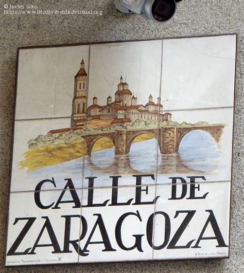 Placa De Azulejos Calle De Zaragoza Madrid Biodiversidad