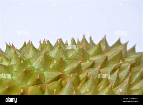 Durian Spiky Texture And Background Stock Photo Alamy