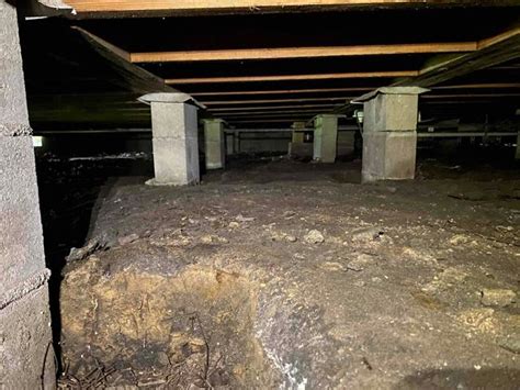 Lowcountry Foundation And Crawl Space Repair Crawl Space Repair Photo