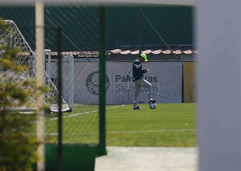 Palmeiras tem maior sequência sem sofrer gols Abel