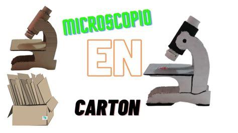 como hacer microscopio en cartón para niños YouTube