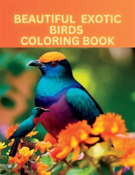 Beautiful Exotic Birds Coloring Book This Enchanting Coloring Book