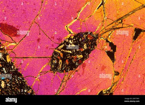 Olivine Thin Section