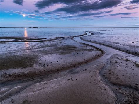 Low Tide | Smithsonian Photo Contest | Smithsonian Magazine