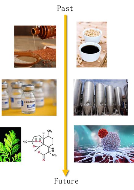 Overview Of Synthetic Biology Cd Biosynsis