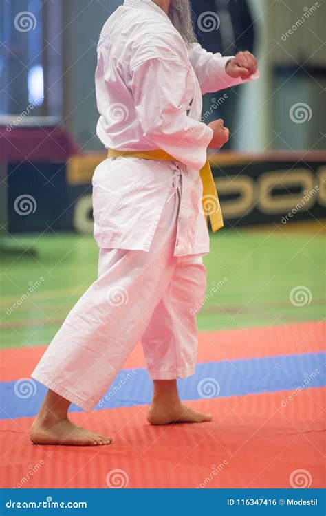 Karate Shotokan Kata Stock Photo Image Of Defense Education 116347416