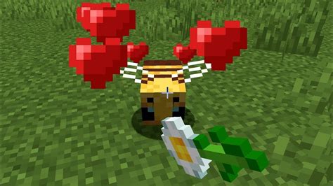 Minecraft How To Tame Bees Minecraft Tame Bee Youtube