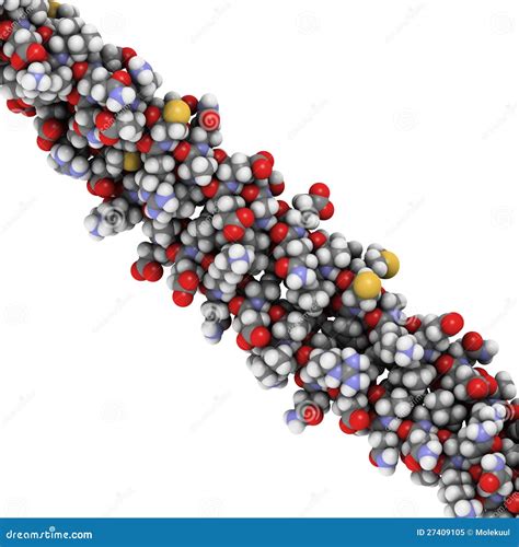 Keratin Intermediate Filament, Chemical Structure. Keratin Is One Of ...