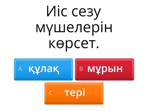 Тест - Quiz