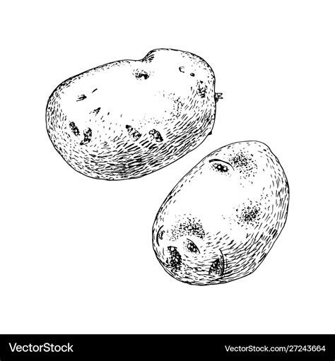 Potatoes Black And White