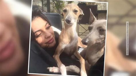 Sylvie Meis Schickt Uns Hei E Urlaubsgr E Im Bikini