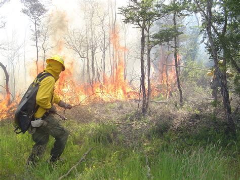 Conaf Eval A Utilizar Fuego Para Combatir Los Incendios Forestales