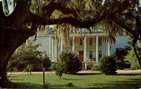 Hampton Plantation South Carolina