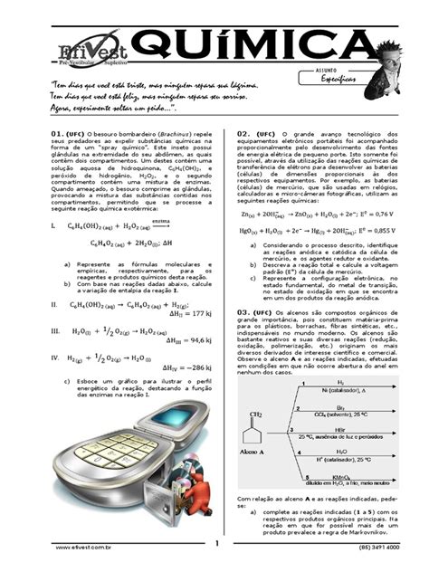 PDF Qui Mica 100 DOKUMEN TIPS