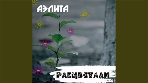 Расцветали - YouTube