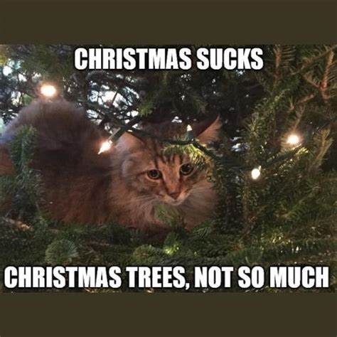 31 Most Hilarious Cat Christmas Tree Memes 2024 Of All Time Happy