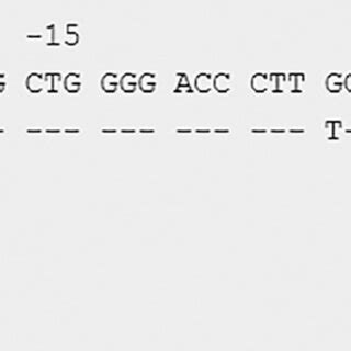 Alignment Of The Sequence Of Exon 2 Of DQB1 03 417 With The Sequence Of