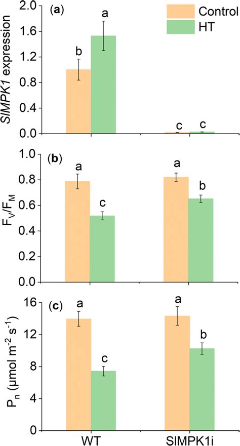 Changes In The Maximum Photochemical Efficiency Of Photosystem II