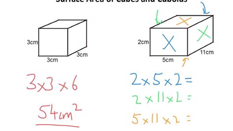 Exercise Surface Area Of Cuboid And Cube Numerical Problems, 58% OFF