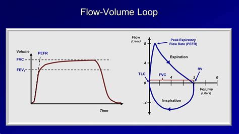 Peak Expiratory Flow Rate Asthma Edward Langdon