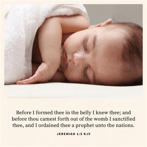 100 Bible Verses About The Sanctity Of Life Kjv Stillfaith