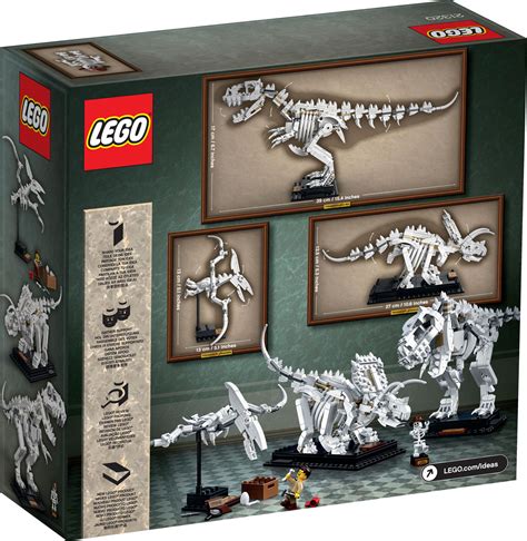 Brickfinder - LEGO Ideas Dinosaur Fossils (21320) Official Reveal!