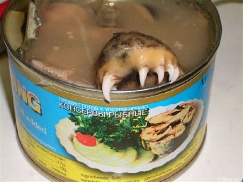 Ten Of The Most Disgusting Canned Food Products Neatorama