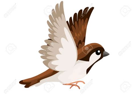 Side View Of Flying Sparrow Bird Flat Cartoon Character Design