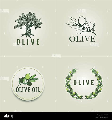 Verschiedene Oliven Logo Design Vorlagen Olive Branch Oliven Baum Und