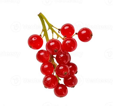 Fresh red currants isolated on transparent background 27143598 PNG