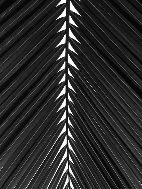 Laser Hair Removal Fort Myers, FL | The Med Spa