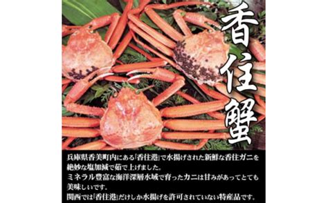 兵庫県香住産 釜茹で 香住ガニ 紅ズワイガニ 2～3匹 入り 約15 ～ 16kg カニ 蟹 かに 紅ずわいがに