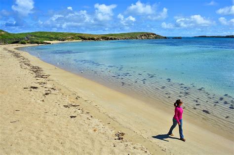 Perths Penguin Island Offers Unparalleled Beauty And A Fascinating History