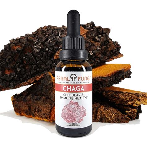 Chaga Extract – Feral Fungi