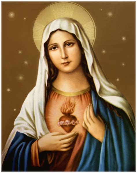 Sacred Heart Of Blessed Virgin Mary Nelson Mcbs