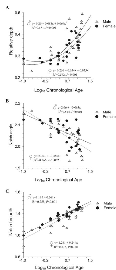 Figure From Greater Sciatic Notch As A Sex Indicator In Juveniles