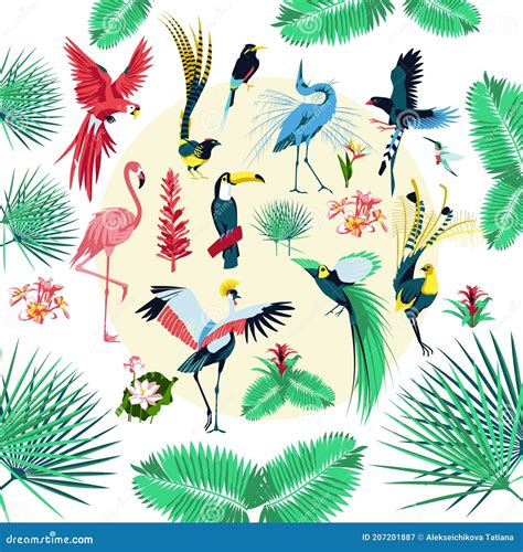 Tropical Birds And Plants Stock Illustration Illustration Of Exotic