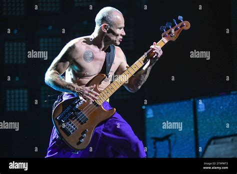 Flea Bass Red Hot Chili Peppers Live In Buenos Aires Argentina Stock Photo Alamy