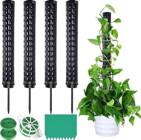 Shinybox Tuteur Monstera 4 Pièces Tuteurs pour Plantes Grimpantes