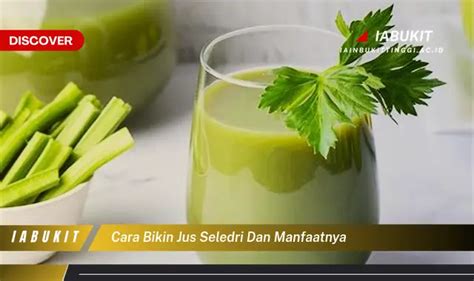 Intip 7 Manfaat Jus Seledri Yang Bikin Kamu Penasaran Discover