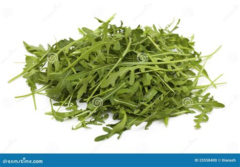 Montón De Las Hojas Del Rucola Foto de archivo Imagen de ingrediente