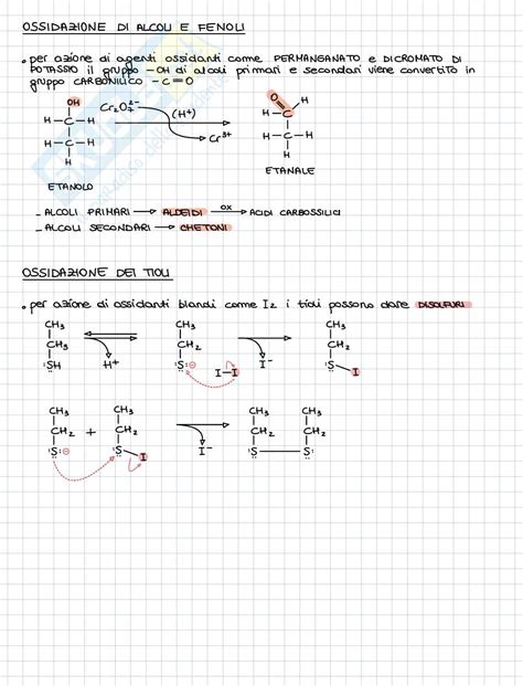 Schemi Di Chimica Organica Composti Con Gruppi Funzionali