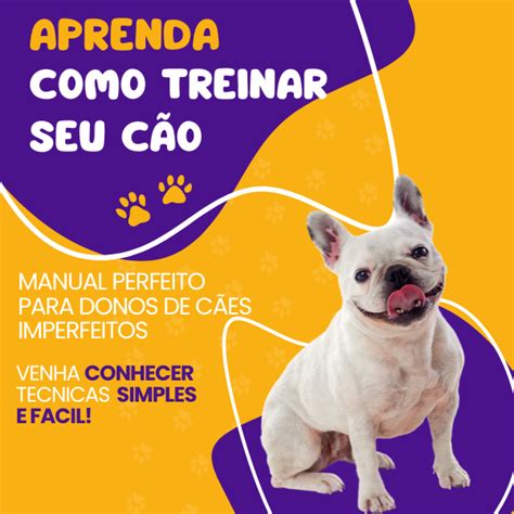 APRENDA COMO TREINAR SEU CACHORRO