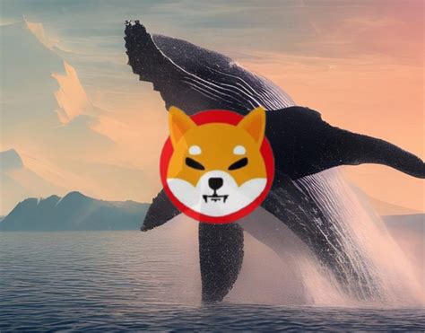 Shiba Inu October S Largest Whale Buys 4 Trillion Tokens Worth 43