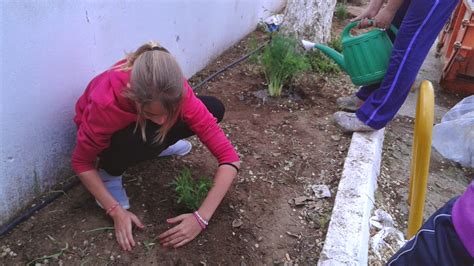 Ceip Valeriano B Cquer Plantaci N De Arom Ticas En El Centro