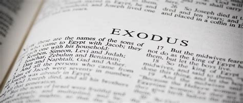 The Midwives vs. Pharaoh in Exodus: A Question of Power - The Junia Project