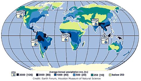 World Precipitation Map