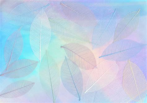 Sex And Intimacy Therapy Erica Garcia Therapy